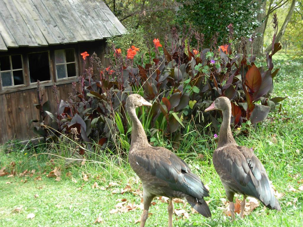 Umzimkulu River Lodge Underberg Exterior foto